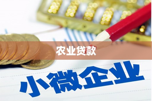 清河农业贷款