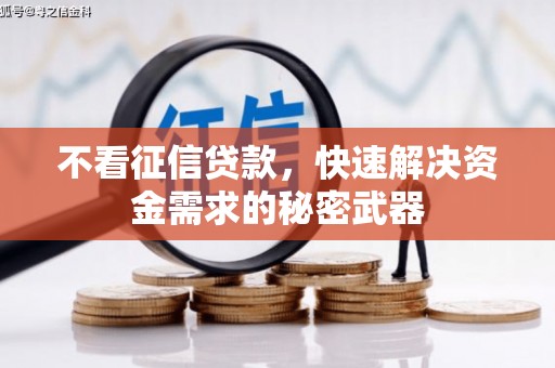清河不看征信贷款，快速解决资金需求的秘密武器