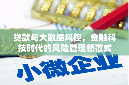 清河贷款与大数据风控，金融科技时代的风险管理新范式