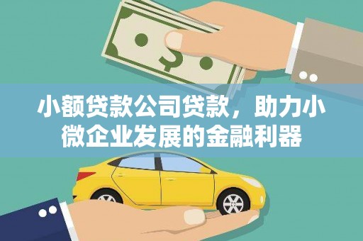清河小额贷款公司贷款，助力小微企业发展的金融利器