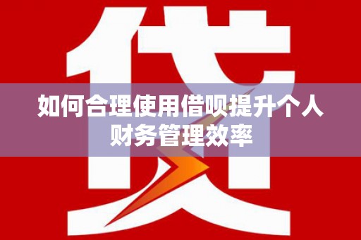 清河如何合理使用借呗提升个人财务管理效率