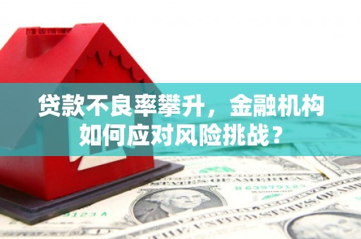 清河贷款不良率攀升，金融机构如何应对风险挑战？