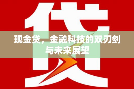 清河现金贷，金融科技的双刃剑与未来展望