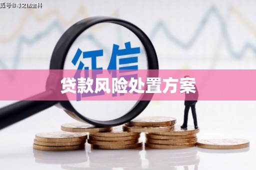 清河贷款风险处置方案