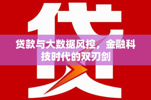 清河贷款与大数据风控，金融科技时代的双刃剑