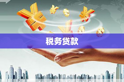 清河税务贷款