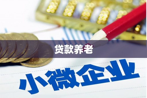 清河贷款养老