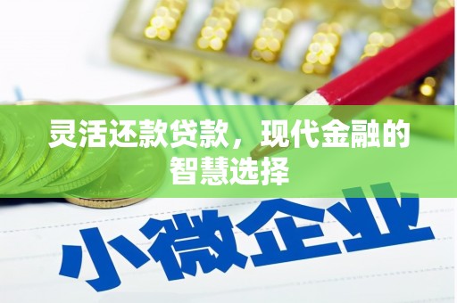 清河灵活还款贷款，现代金融的智慧选择