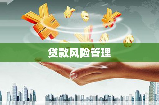 清河贷款风险管理