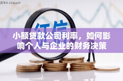 清河小额贷款公司利率，如何影响个人与企业的财务决策