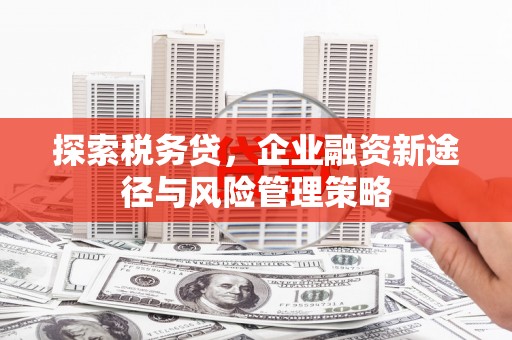 清河探索税务贷，企业融资新途径与风险管理策略