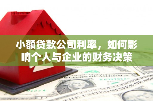 清河小额贷款公司利率，如何影响个人与企业的财务决策