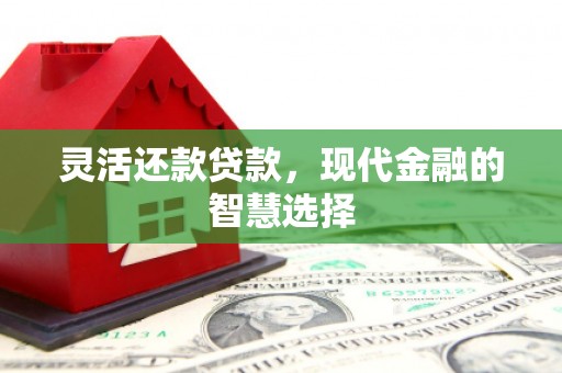 清河灵活还款贷款，现代金融的智慧选择