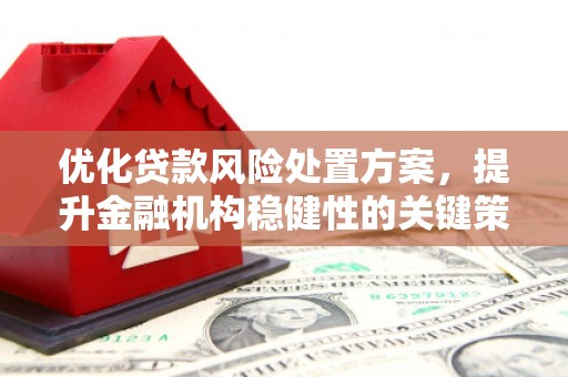 清河优化贷款风险处置方案，提升金融机构稳健性的关键策略