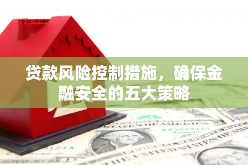 清河贷款风险控制措施，确保金融安全的五大策略