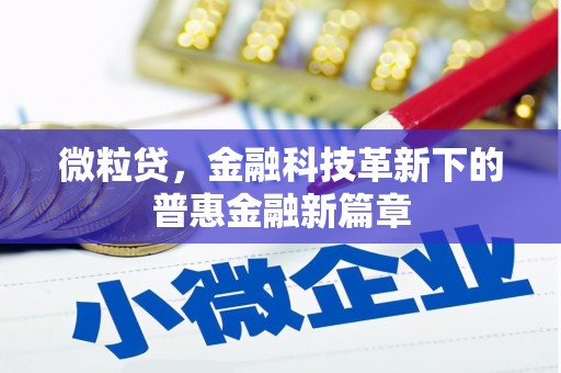 清河微粒贷，金融科技革新下的普惠金融新篇章