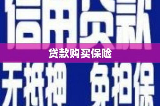 清河贷款购买保险