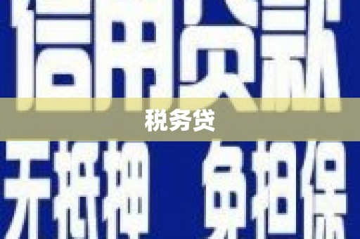 清河税务贷