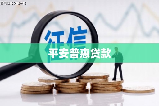 清河平安普惠贷款