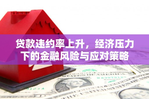 清河贷款违约率上升，经济压力下的金融风险与应对策略