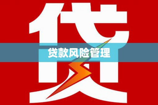 清河贷款风险管理