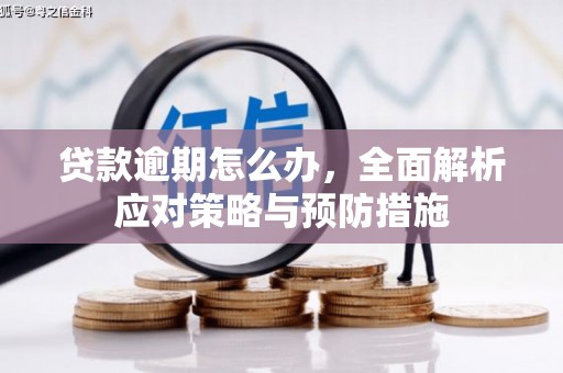 清河贷款逾期怎么办，全面解析应对策略与预防措施