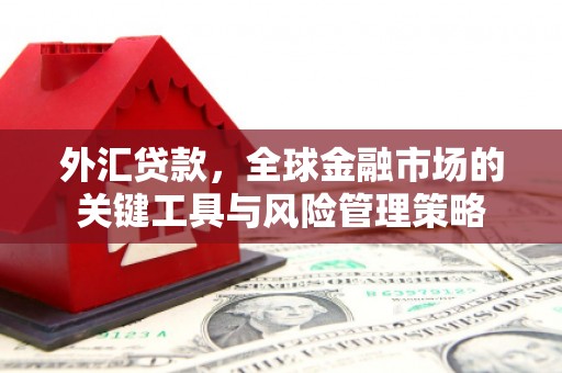 清河外汇贷款，全球金融市场的关键工具与风险管理策略