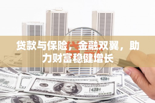 清河贷款与保险，金融双翼，助力财富稳健增长
