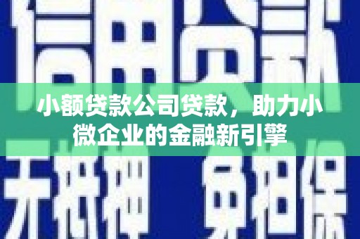 清河小额贷款公司贷款，助力小微企业的金融新引擎