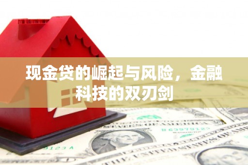 清河现金贷的崛起与风险，金融科技的双刃剑