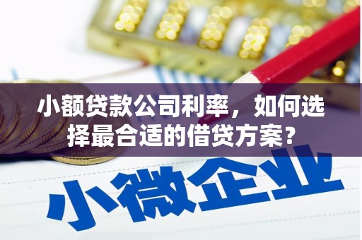 清河小额贷款公司利率，如何选择最合适的借贷方案？