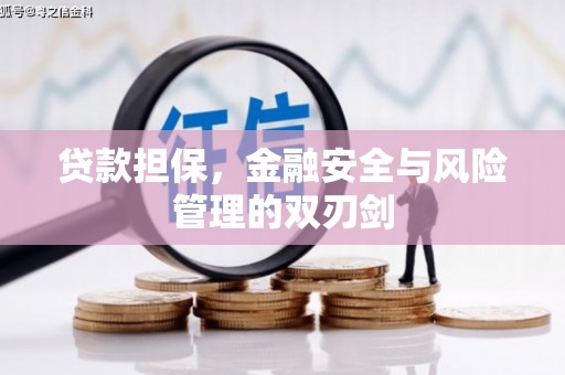 清河贷款担保，金融安全与风险管理的双刃剑