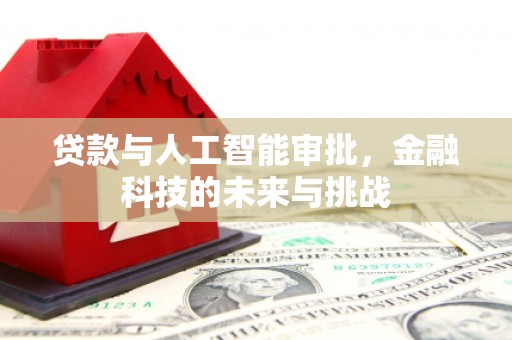 清河贷款与人工智能审批，金融科技的未来与挑战