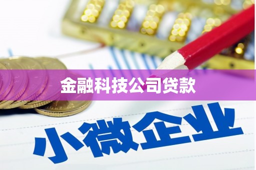 清河金融科技公司贷款