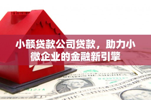 清河小额贷款公司贷款，助力小微企业的金融新引擎