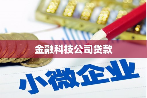 清河金融科技公司贷款