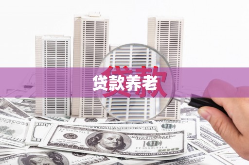 清河贷款养老
