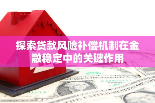 清河探索贷款风险补偿机制在金融稳定中的关键作用