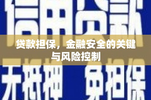 清河贷款担保，金融安全的关键与风险控制