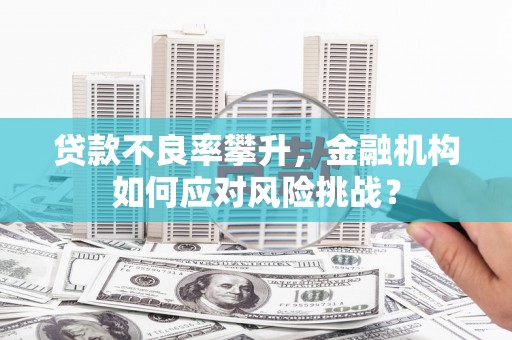 清河贷款不良率攀升，金融机构如何应对风险挑战？