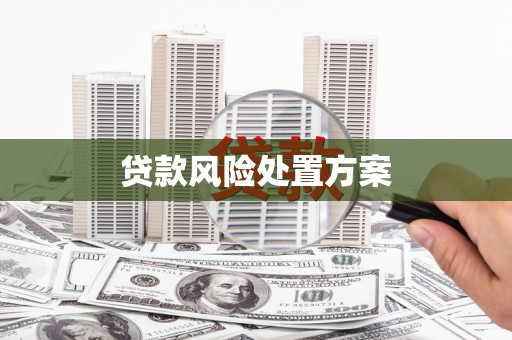 清河贷款风险处置方案