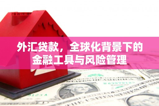 清河外汇贷款，全球化背景下的金融工具与风险管理